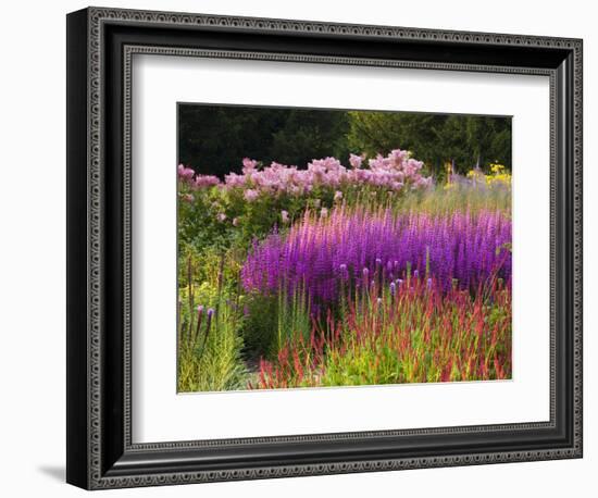 Trentham Gardens-Clive Nichols-Framed Photographic Print