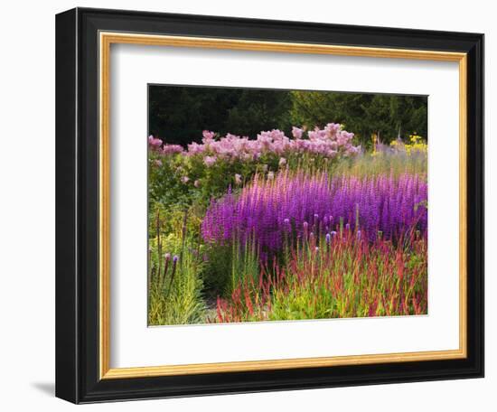 Trentham Gardens-Clive Nichols-Framed Photographic Print