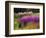 Trentham Gardens-Clive Nichols-Framed Photographic Print