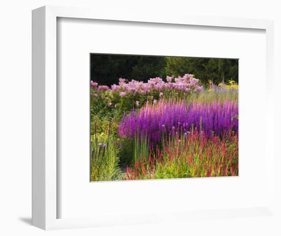 Trentham Gardens-Clive Nichols-Framed Photographic Print