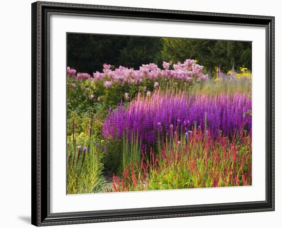 Trentham Gardens-Clive Nichols-Framed Photographic Print