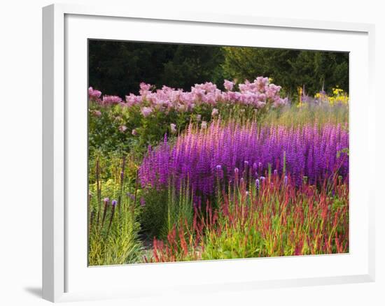 Trentham Gardens-Clive Nichols-Framed Photographic Print