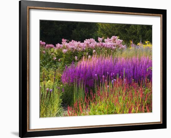 Trentham Gardens-Clive Nichols-Framed Photographic Print