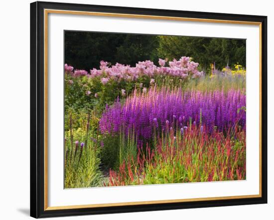 Trentham Gardens-Clive Nichols-Framed Photographic Print