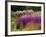 Trentham Gardens-Clive Nichols-Framed Photographic Print