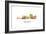 Trenton New Jersey Skyline-Marlene Watson-Framed Giclee Print