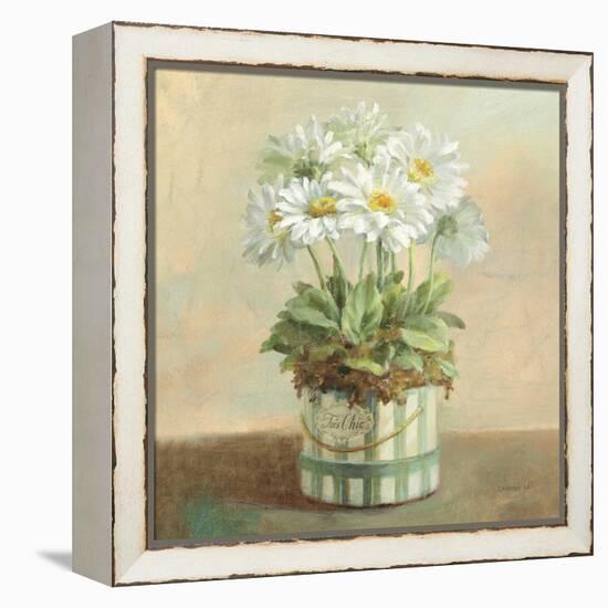 Tres Chic Daisies-Danhui Nai-Framed Stretched Canvas