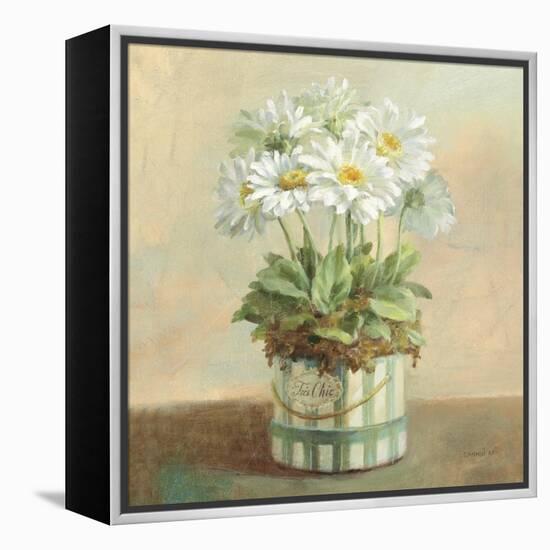 Tres Chic Daisies-Danhui Nai-Framed Stretched Canvas