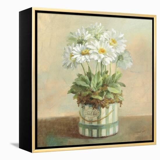 Tres Chic Daisies-Danhui Nai-Framed Stretched Canvas