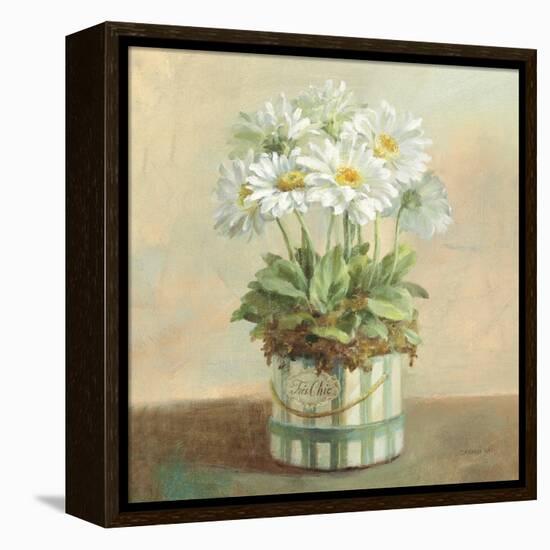 Tres Chic Daisies-Danhui Nai-Framed Stretched Canvas