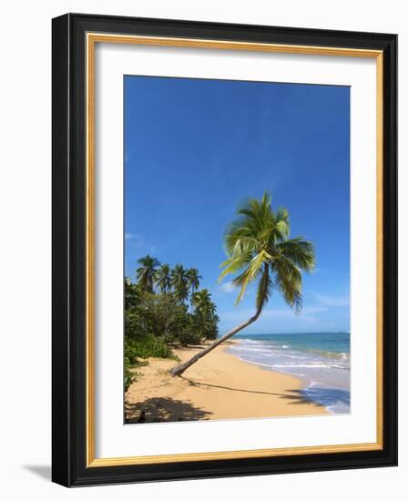 Tres Palmitas Beach, Loiza, Puerto Rico-Katja Kreder-Framed Photographic Print