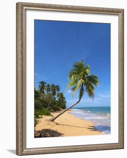 Tres Palmitas Beach, Loiza, Puerto Rico-Katja Kreder-Framed Photographic Print