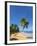 Tres Palmitas Beach, Loiza, Puerto Rico-Katja Kreder-Framed Photographic Print