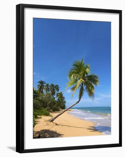 Tres Palmitas Beach, Loiza, Puerto Rico-Katja Kreder-Framed Photographic Print