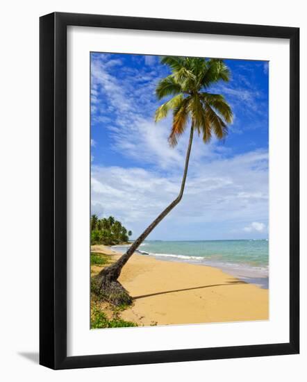 Tres Palmitas Beach, Puerto Rico, West Indies, Caribbean, Central America-Michael DeFreitas-Framed Photographic Print