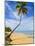 Tres Palmitas Beach, Puerto Rico, West Indies, Caribbean, Central America-Michael DeFreitas-Mounted Photographic Print