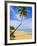 Tres Palmitas Beach, Puerto Rico, West Indies, Caribbean, Central America-Michael DeFreitas-Framed Photographic Print