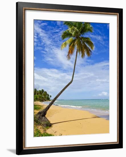 Tres Palmitas Beach, Puerto Rico, West Indies, Caribbean, Central America-Michael DeFreitas-Framed Photographic Print