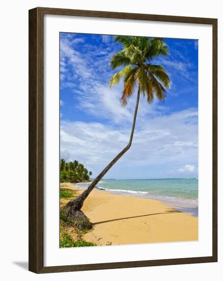 Tres Palmitas Beach, Puerto Rico, West Indies, Caribbean, Central America-Michael DeFreitas-Framed Photographic Print