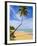 Tres Palmitas Beach, Puerto Rico, West Indies, Caribbean, Central America-Michael DeFreitas-Framed Photographic Print