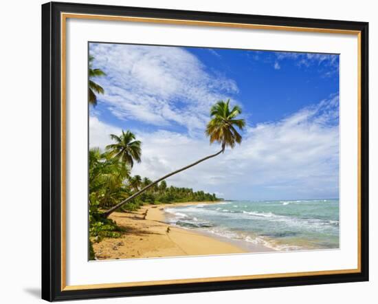 Tres Palmitas Beach, Puerto Rico, West Indies, Caribbean, Central America-Michael DeFreitas-Framed Photographic Print