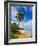 Tres Palmitas Beach, Puerto Rico, West Indies, Caribbean, Central America-Michael DeFreitas-Framed Photographic Print