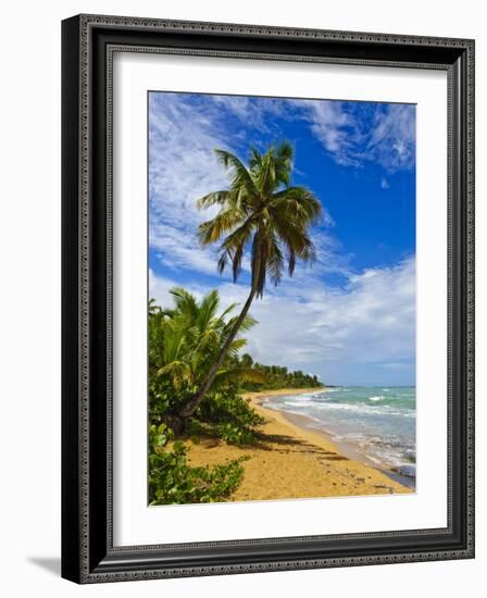 Tres Palmitas Beach, Puerto Rico, West Indies, Caribbean, Central America-Michael DeFreitas-Framed Photographic Print