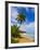 Tres Palmitas Beach, Puerto Rico, West Indies, Caribbean, Central America-Michael DeFreitas-Framed Photographic Print