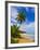 Tres Palmitas Beach, Puerto Rico, West Indies, Caribbean, Central America-Michael DeFreitas-Framed Photographic Print