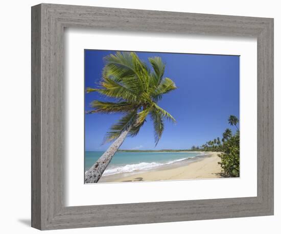 Tres Palmitas Beach-Franz-Marc Frei-Framed Photographic Print