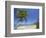 Tres Palmitas Beach-Franz-Marc Frei-Framed Photographic Print