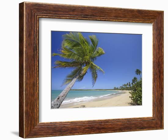 Tres Palmitas Beach-Franz-Marc Frei-Framed Photographic Print