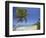 Tres Palmitas Beach-Franz-Marc Frei-Framed Photographic Print