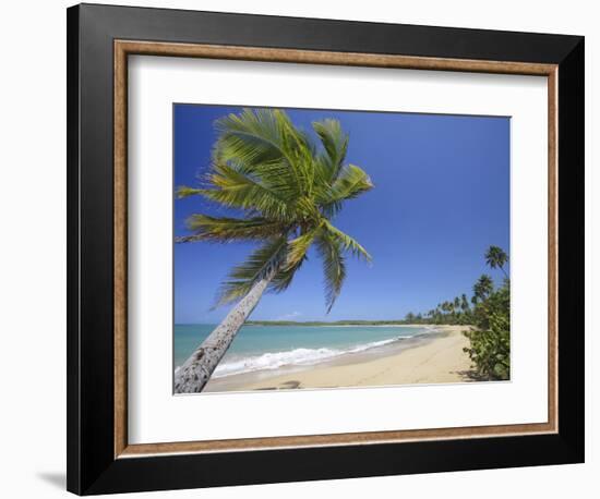 Tres Palmitas Beach-Franz-Marc Frei-Framed Photographic Print