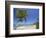 Tres Palmitas Beach-Franz-Marc Frei-Framed Photographic Print