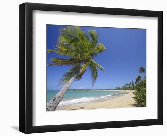Tres Palmitas Beach-Franz-Marc Frei-Framed Photographic Print