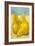 Tres Pears-Tim O'toole-Framed Art Print