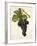 Tressot Grape-J. Troncy-Framed Giclee Print