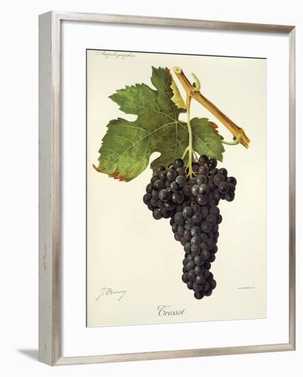 Tressot Grape-J. Troncy-Framed Giclee Print