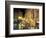 Trevi Fountain at Night, Rome, Italy-Connie Ricca-Framed Photographic Print