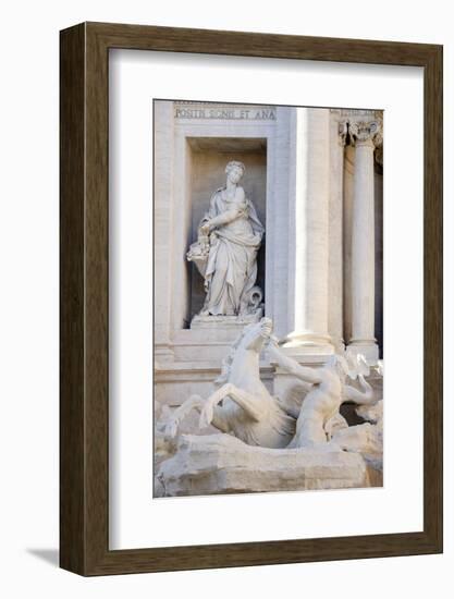 Trevi Fountain in Afternoon Light II-Laura DeNardo-Framed Photographic Print