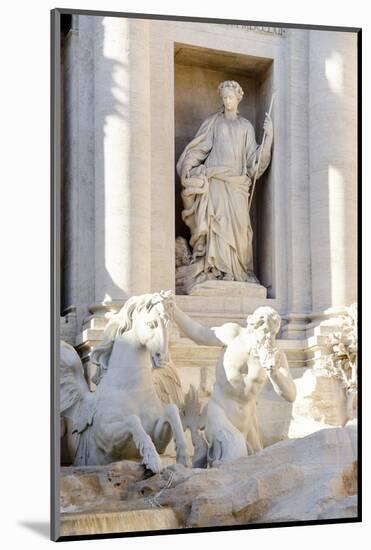 Trevi Fountain in Afternoon Light III-Laura DeNardo-Mounted Photographic Print