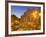 Trevi Fountain, Rome, Lazio, Italy, Europe-Angelo Cavalli-Framed Photographic Print