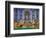 Trevi Fountain-Sylvain Sonnet-Framed Photographic Print