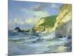 Giclee Print