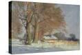 Stretched Canvas Print
