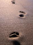 Footprints in the Sand of Eco Beach, South of Broome, Broome, Australia-Trevor Creighton-Framed Premier Image Canvas