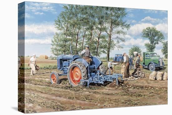 Stretched Canvas Print, , large