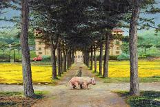 Big Pig, Pistoia, Tuscany-Trevor Neal-Giclee Print