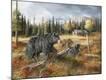 Giclee Print